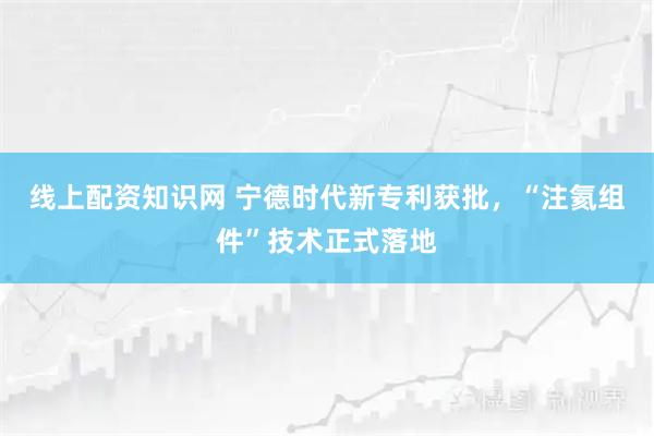 线上配资知识网 宁德时代新专利获批，“注氦组件”技术正式落地